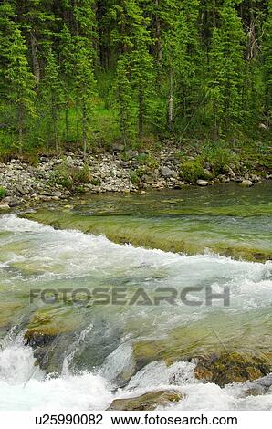 Stock Image - Nature scene. Fotosearch