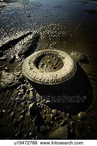 Old tire abandoned on beach View Large Photo Image Stock Photo - Old tire abandoned on beach. Fotosearch