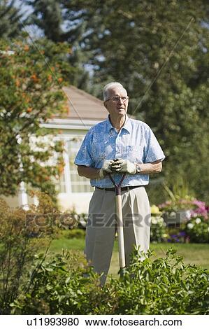 Senior gardener View Large Photo Image Stock Image - Senior gardener. Fotosearch