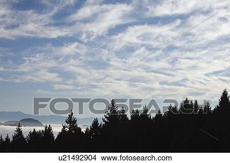 Vancouver Island in British Columbia View Large Photo Image Picture - Vancouver Island in British Columbia. Fotosearch