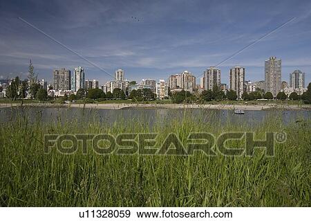 View of a cityscape across a bay View Large Photo Image Stock Photo - View of a cityscape across a bay. Fotosearch