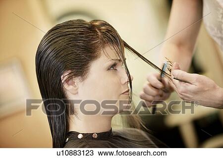 Woman having her hair cut View Large Photo Image Stock Image - Woman having her hair cut. Fotosearch