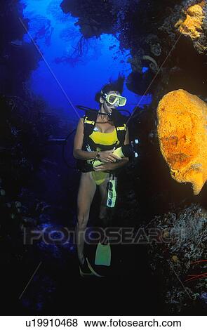 Woman scuba diving View Large Photo Image Stock Photo - Woman scuba diving. Fotosearch
