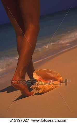 Stock Photo - Women's legs and shell. Fotosearch