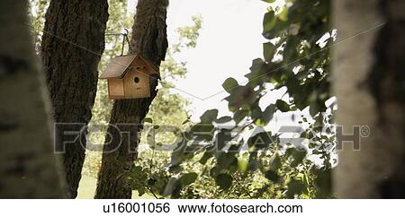 Stock Photograph - Bird house in the trees. Fotosearch