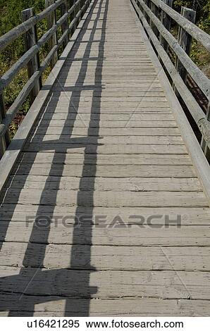 Boardwalk View Large Photo Image Stock Photography - Boardwalk. Fotosearch