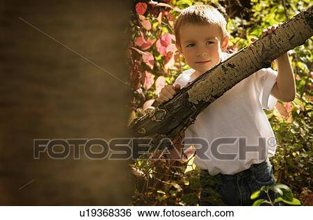 Stock Photograph - Boy playing in the trees. Fotosearch