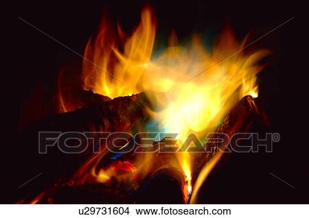 Picture - Colorful flames of a fire. Fotosearch
