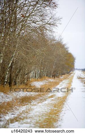 Stock Image - Ditch on side of road. Fotosearch