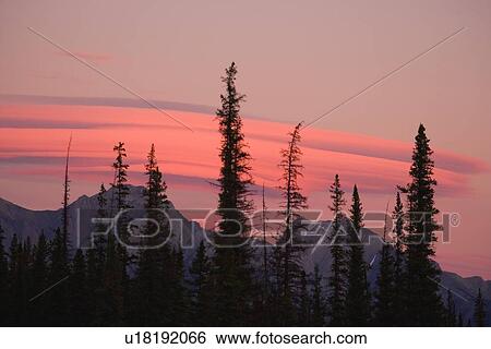 Stock Photograph - Elongated pink clouds over the Rocky Mountains. Fotosearch