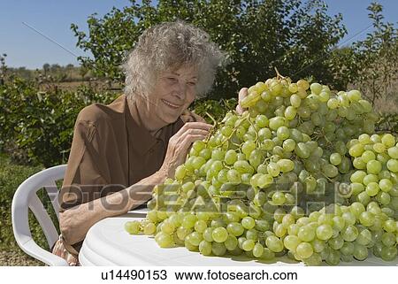 Grape orchardist in Spain View Large Photo Image Stock Image - Grape orchardist in Spain. Fotosearch