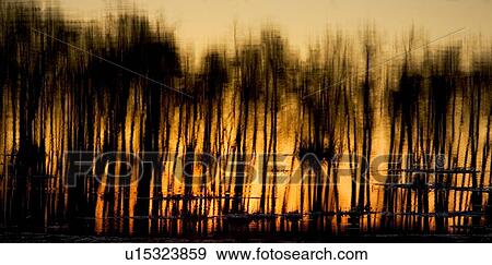 Stock Photo - Reflections in water. Fotosearch