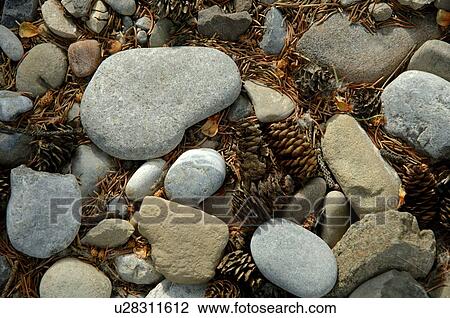 Rocks and pinecones View Large Photo Image Stock Image - Rocks and pinecones. Fotosearch