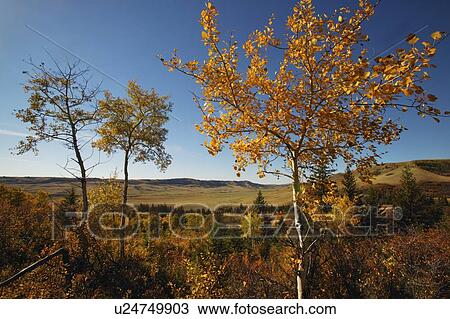 Scenic landscape View Large Photo Image Stock Image - Scenic landscape. Fotosearch