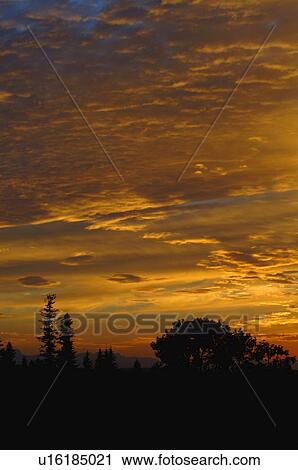 Stock Image - Silhouetted landscape. Fotosearch