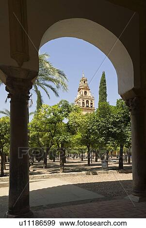 Torre de Alminar in Spain View Large Photo Image Stock Photo - Torre de Alminar in Spain. Fotosearch