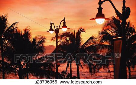 Tropical scenic View Large Photo Image Stock Photograph - Tropical scenic. Fotosearch