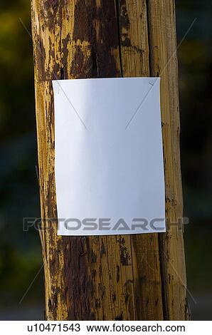 Blank poster on a telephone pole View Large Photo Image Stock Image - Blank poster on a telephone pole. Fotosearch