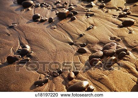 Stock Image - Closeup of rocks in the sand. Fotosearch