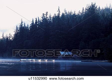 A cabin on the water View Large Photo Image Stock Image - A cabin on the water. Fotosearch