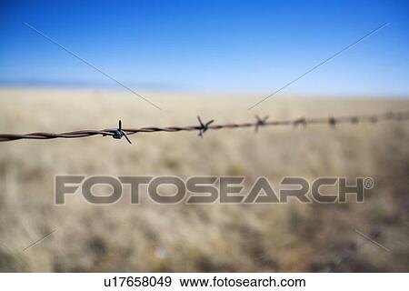 Barbed wire fence View Large Photo Image Stock Photo - Barbed wire fence. Fotosearch