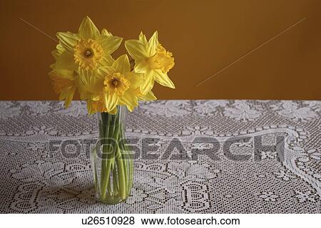 Bouquet of Daffodils View Large Photo Image Stock Photo - Bouquet of Daffodils. Fotosearch