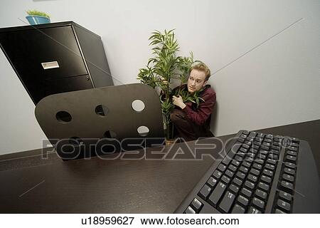 Businessman hiding behind a potted plant in an office View Large Photo Image Stock Photo - Businessman hiding behind a potted plant in an office. Fotosearch