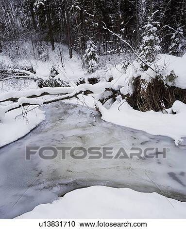 Creek in the snow View Large Photo Image Stock Image - Creek in the snow. Fotosearch