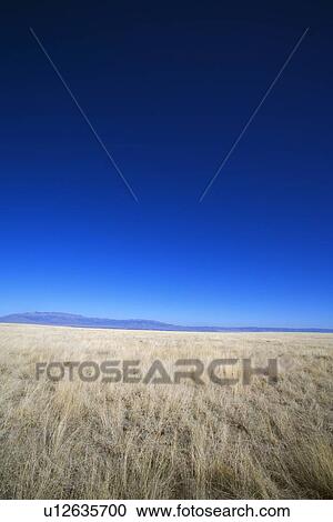 Desert grass with mountains in the distance View Large Photo Image Stock Image - Desert grass with mountains in the distance. Fotosearch