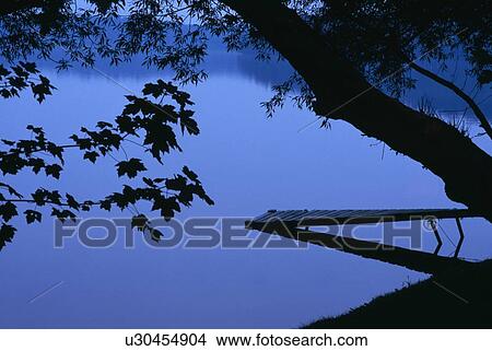 Picture - Lake and trees at dusk . Fotosearch