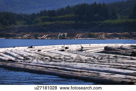 Log driving View Large Photo Image Stock Photo - Log driving. Fotosearch