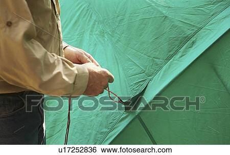 Stock Photograph - Man holding the rope to a tent. Fotosearch