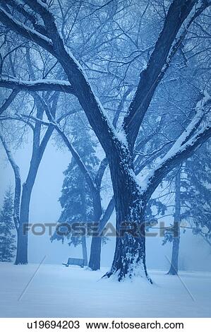Stock Image - Monotone winter scene. Fotosearch