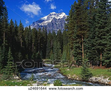 Mountain stream View Large Photo Image Picture - Mountain stream. Fotosearch