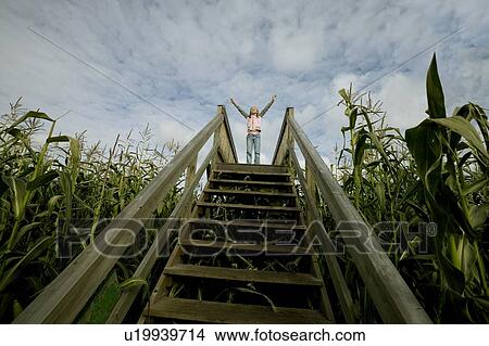Picture - Person standing at the top of stairs in a corn field. Fotosearch
