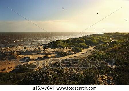 Rocky seashore View Large Photo Image Stock Image - Rocky seashore. Fotosearch