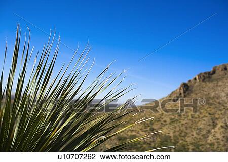 Sacramento Mountains View Large Photo Image Stock Image - Sacramento Mountains . Fotosearch