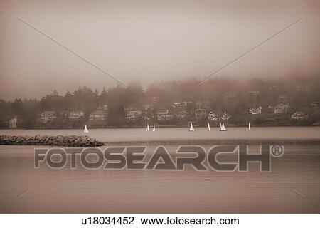 Sailboats in Victoria, British Columbia View Large Photo Image Stock Image - Sailboats in Victoria, British Columbia. Fotosearch