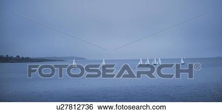 Stock Photograph - Sailboats in Victoria, British Columbia. Fotosearch