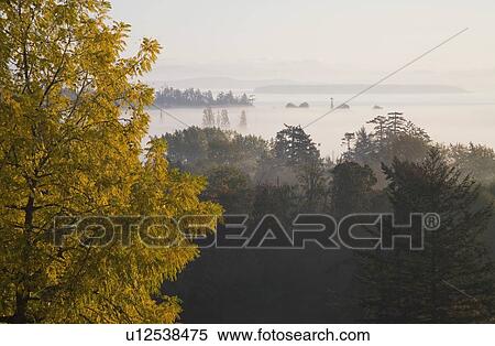 Stock Photography - Scenic landscape with fog. Fotosearch