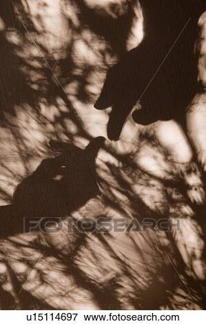 Shadows of two hands and fingers touching View Large Photo Image Stock Photo - Shadows of two hands and fingers touching. Fotosearch