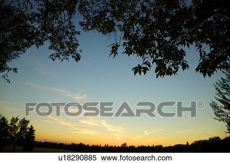 Stock Photography - Silhouetted trees and landscape. Fotosearch