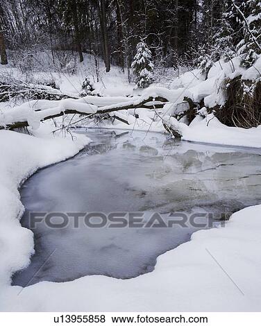 Snowy creek View Large Photo Image Stock Photo - Snowy creek. Fotosearch