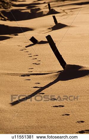 Stock Image - Tracks left behind. Fotosearch