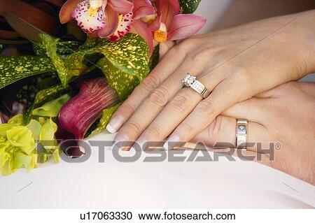 Wedding couples hands View Large Photo Image Stock Image - Wedding couples hands. Fotosearch