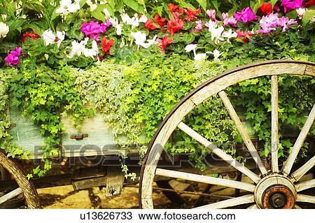 Wooden wagon flower bed View Large Photo Image Stock Image - Wooden wagon flower bed. Fotosearch