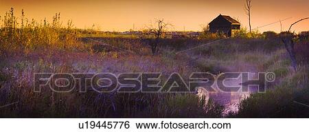 Abandoned shack at sunset near a creek View Large Photo Image Stock Photograph - Abandoned shack at sunset near a creek. Fotosearch