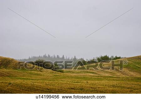 Stock Photograph - An empty rolling field. Fotosearch
