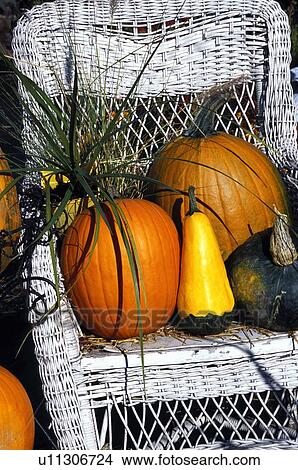 Picture - Autumn harvest display. Fotosearch
