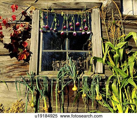 Autumn harvest View Large Photo Image Stock Photography - Autumn harvest. Fotosearch